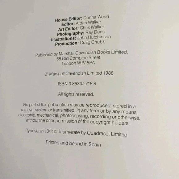 Paper Dinosaurs: 20 model monsters  to cut and fold - Picture 2 of 7